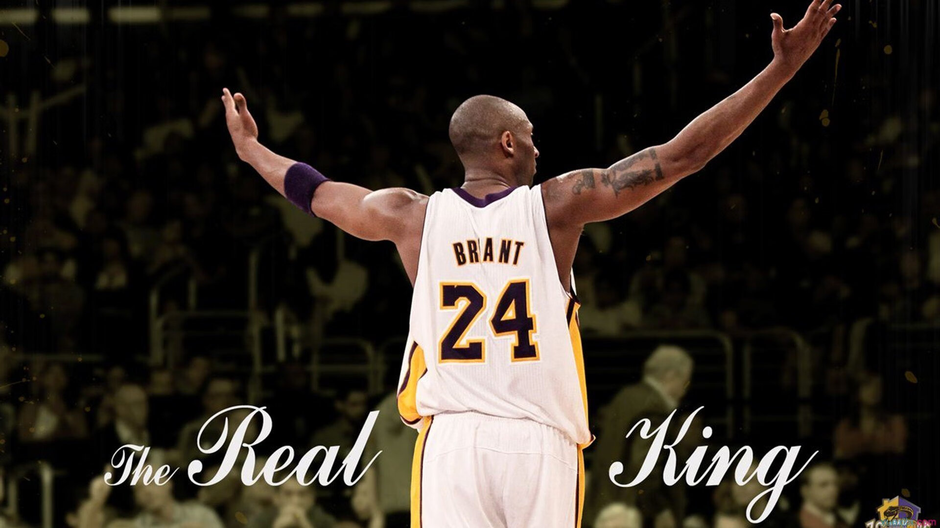 曾经的“万人迷”欧冠星光璀璨时刻